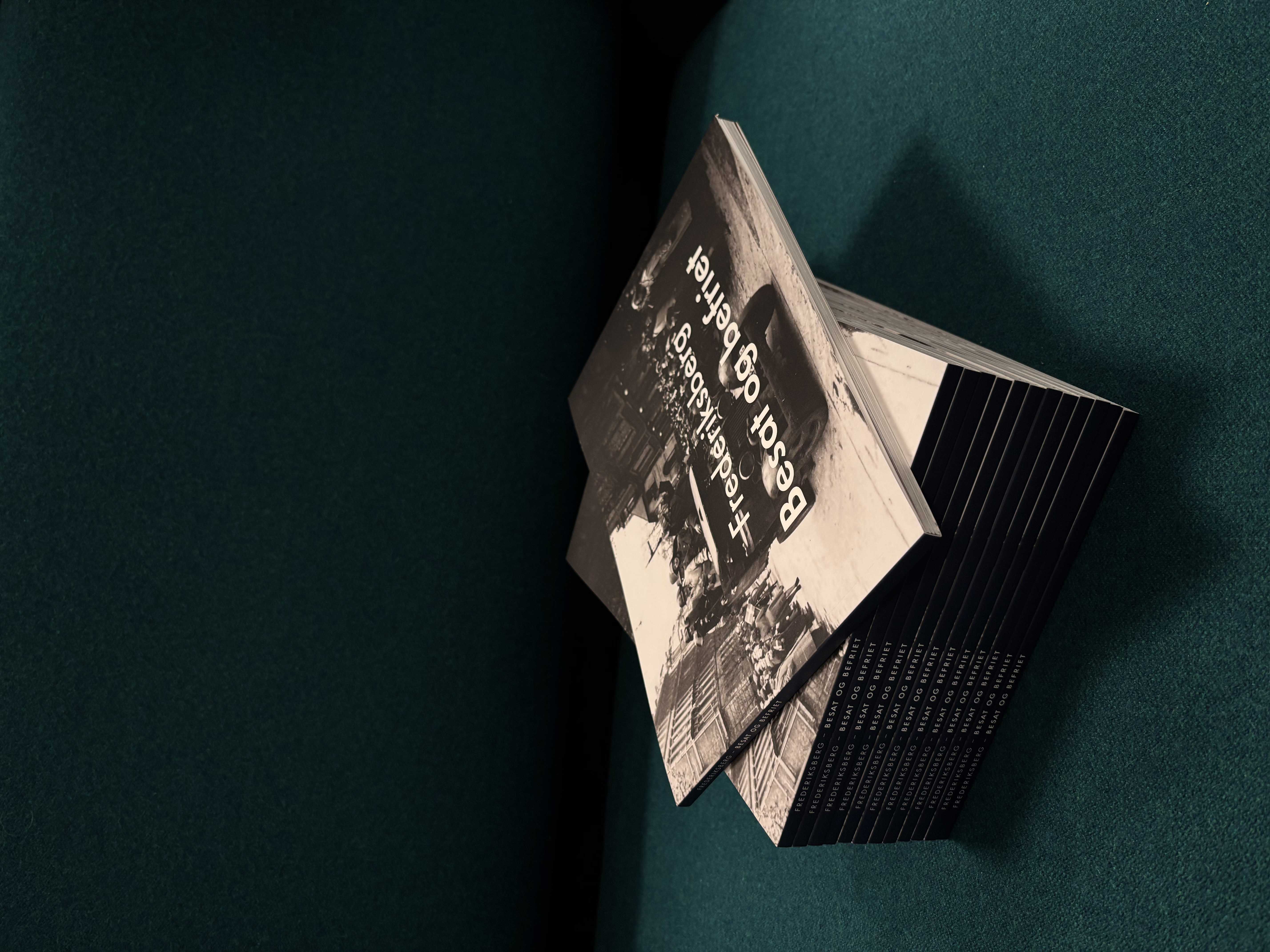 Visning af bogens forside